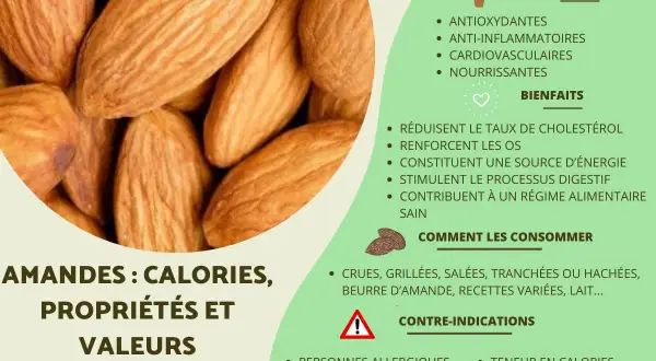 Gros plan sur des amandes, mettant en avant leurs nombreux bienfaits : antioxydantes, anti-inflammatoires, cardiovasculaires et nourrissantes.
