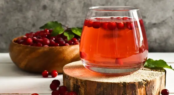 Verre de jus de cranberries, fruit réputé pour aider à prévenir les infections urinaires. Baies rouges dans un bol en bois.
