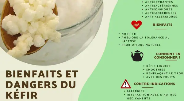 Le kéfir est-il un probiotique ? Cette image détaille ses propriétés, ses bienfaits comme probiotique naturel, et comment le consommer.