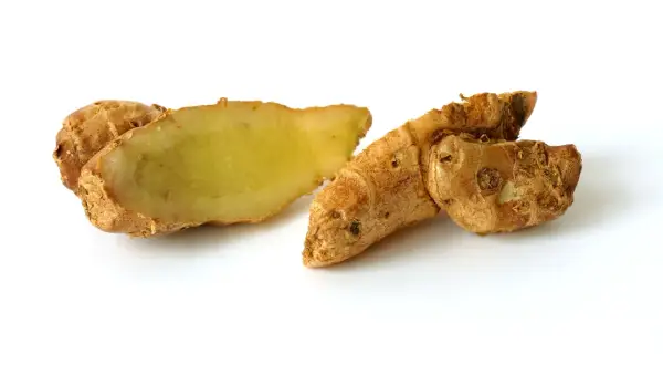 Racines de galanga coupées, montrant leur chair jaune pâle. Le galanga est parfois étudié pour ses bienfaits potentiels sur l'hypertension.