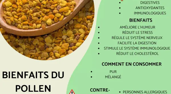Pollen d'abeille sur une cuillère en bois, avec une liste de ses bienfaits pour la santé.