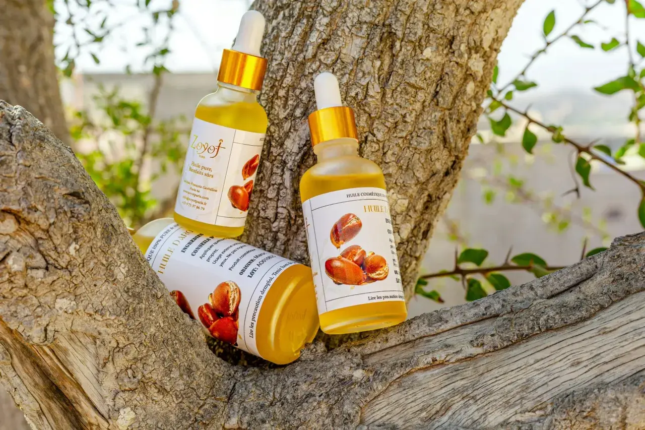 Trois flacons d'huile d'argan, aux multiples huile d'argan bienfaits, reposent sur une branche d'arbre.