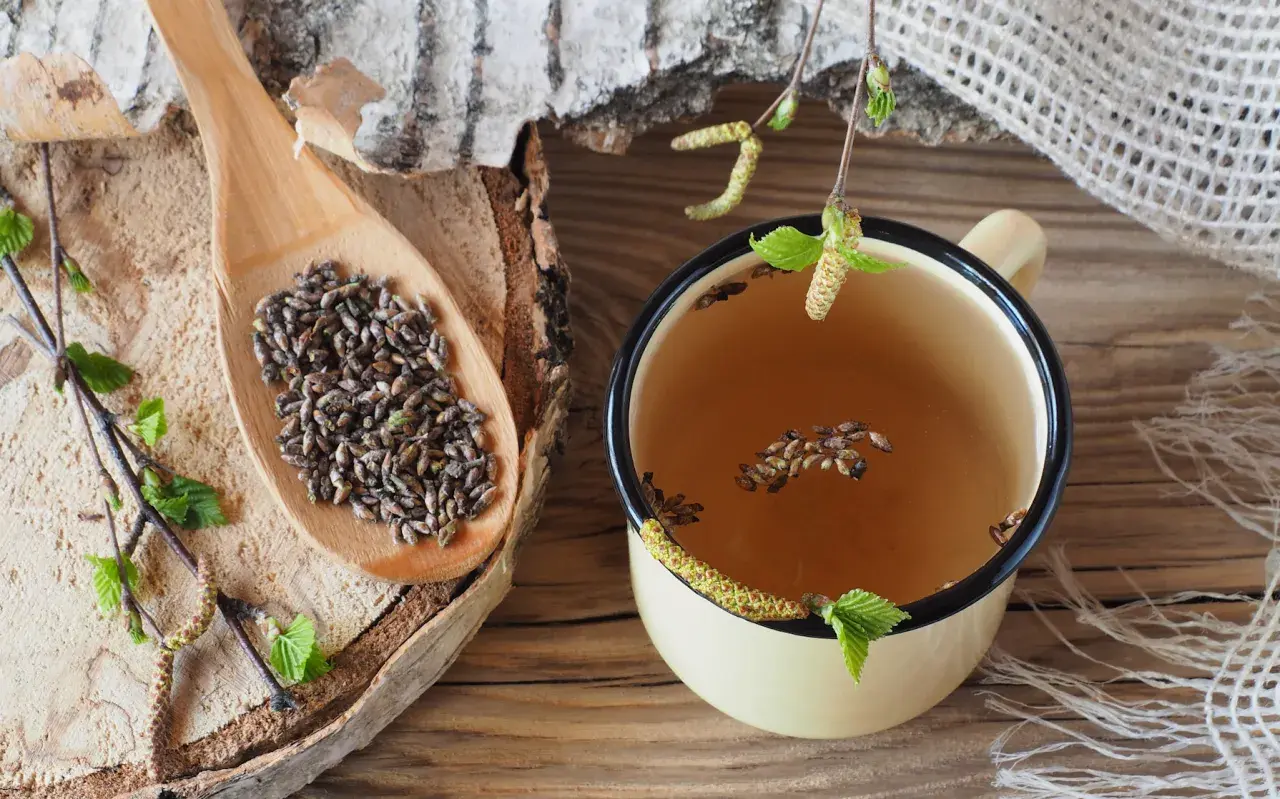 Graines de bouleau sur une cuillère en bois et dans une tasse de tisane. Un aliment qui tue les vers, utilisé en médecine traditionnelle.