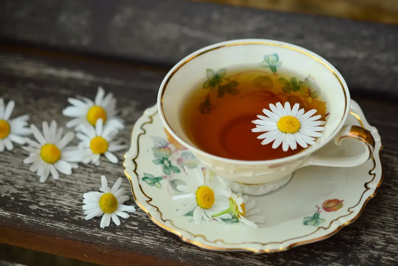 Une tasse de thé à la camomille, ornée d'une marguerite, sur une soucoupe décorée. Une belle illustration de la différence entre thé et infusion.