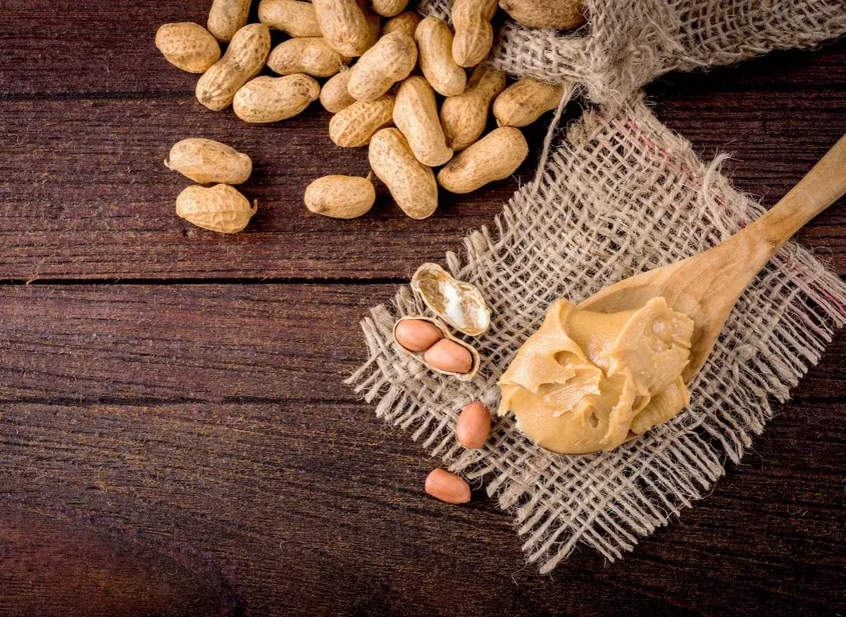 Une cuillère de beurre de cacahuète crémeux, avec des cacahuètes entières et décortiquées à proximité. Attention, la cacahuète peut présenter un danger pour les personnes allergiques.