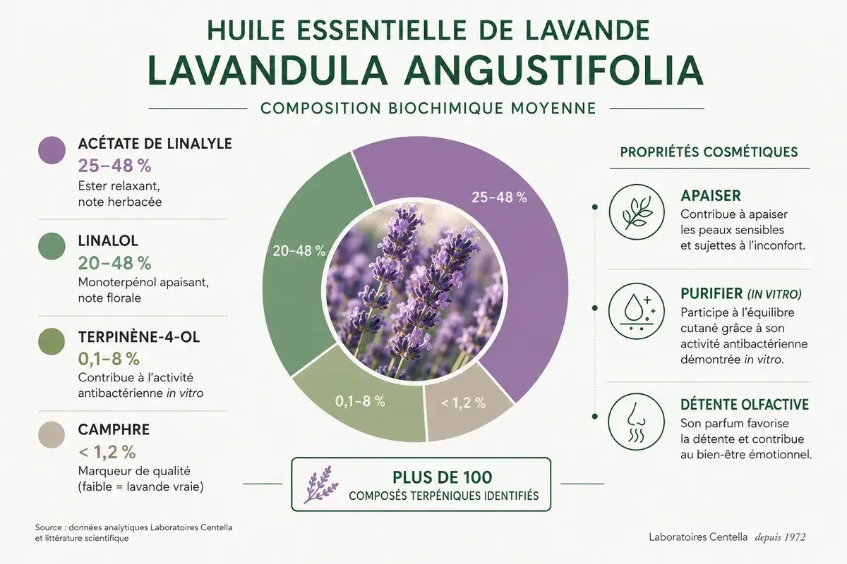 Composition de l'huile essentielle de lavande, ses bienfaits : apaisant, purifiant et détente olfactive. Plus de 100 composés identifiés.