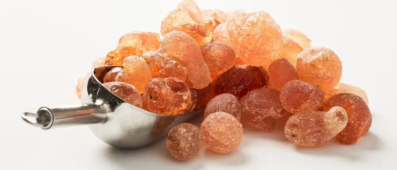 Grains ambrés de gomme arabique, aussi appelée fibre d'acacia, dans une cuillère métallique.