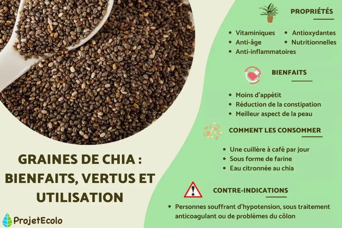 Graines de chia : une cuill&egrave;re &agrave; caf&eacute; par jour pour leurs bienfaits nutritionnels et anti-inflammatoires.