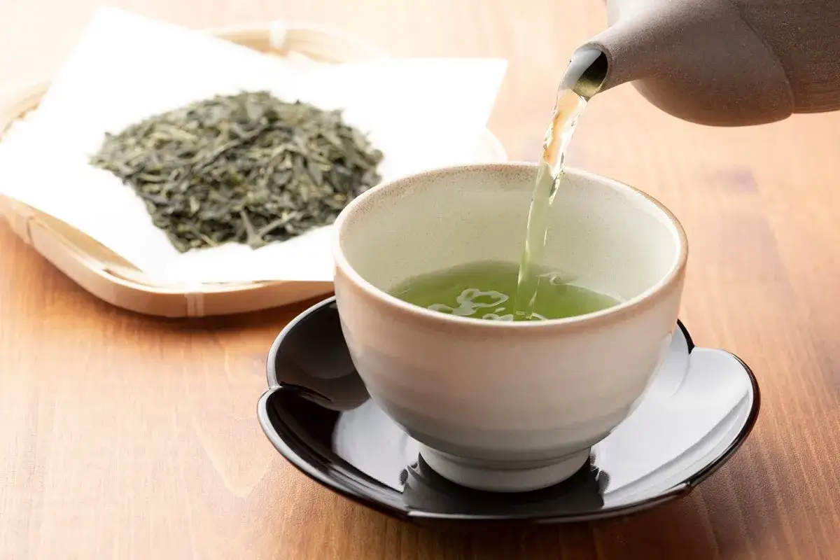 Thé vert versé dans une tasse. Le thé est-il mauvais pour les reins ? Une question à explorer en dégustant cette boisson.