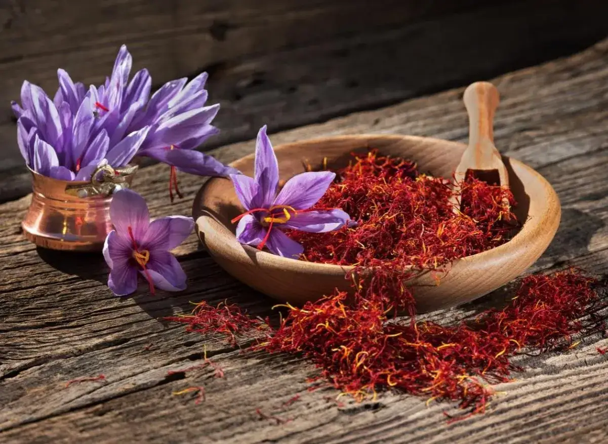 Fleurs de safran et pistils rouges dans un bol en bois. Attention aux safran contre indication.