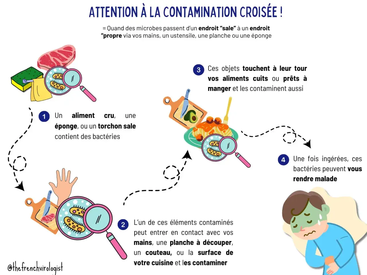 Illustration expliquant comment se transmet la gastro : des bact&eacute;ries sur un aliment cru ou un ustensile contaminent d'autres aliments, puis une personne, la rendant malade.