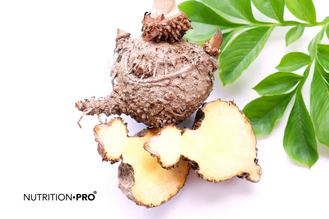 Konjac, une plante aux tubercules étranges, est interdit en France. Ici, une coupe révèle sa chair pâle et fibreuse, entourée de feuilles vertes.