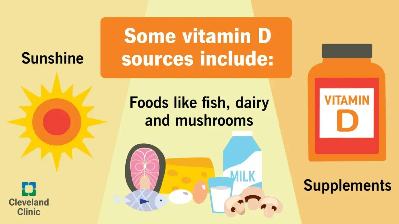 Soleil, aliments (poisson, produits laitiers, champignons) et suppl&eacute;ments : des sources de vitamine D sans soleil.