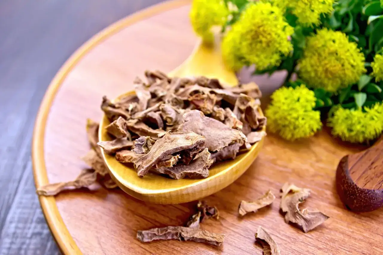 Racines séchées de rhodiola sur une cuillère en bois, idéales pour savoir quand prendre rhodiola pour l'énergie. Fleurs jaunes en arrière-plan.