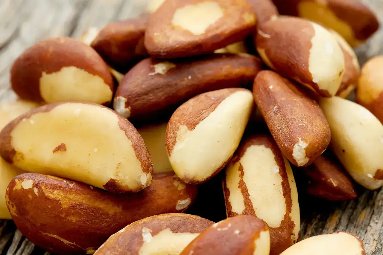 Gros plan sur des noix du Brésil, dont la peau brune révèle une chair claire. Attention à la consommation excessive, le danger des noix du Brésil réside dans leur forte teneur en sélénium.