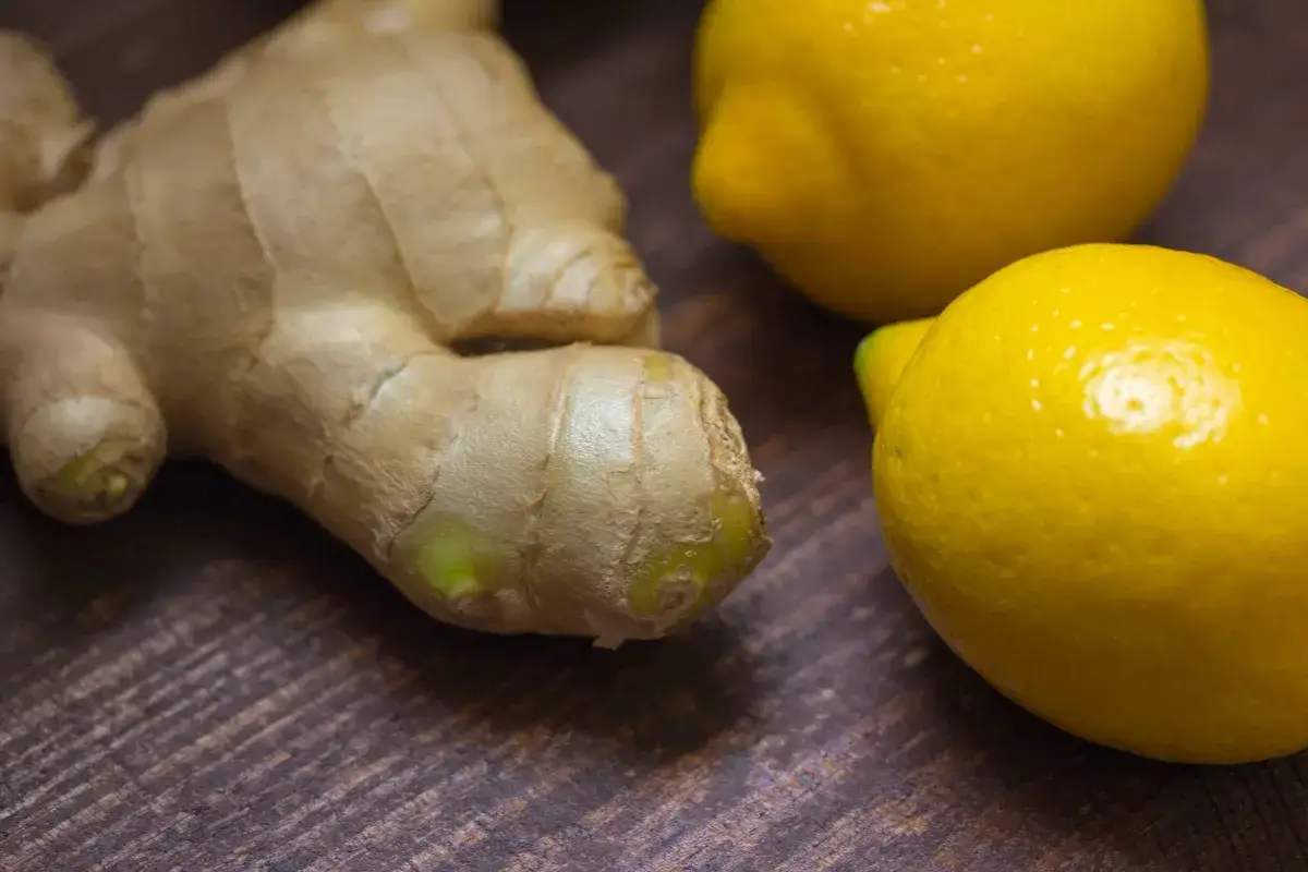Gingembre et citrons sur fond de bois. Remèdes naturels pour la gueule de bois que faire.