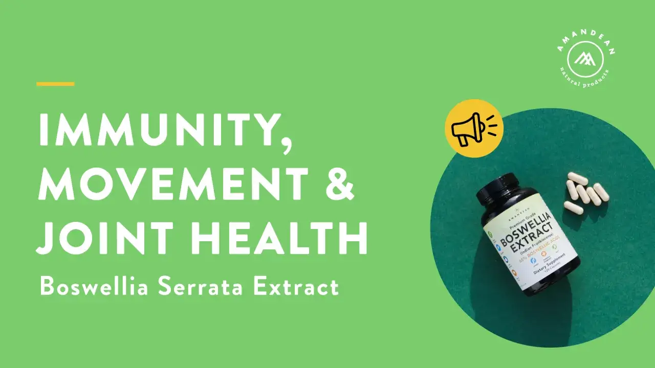 Flacon de Boswellia Serrata Extract pour l'immunit&eacute; et la sant&eacute; articulaire. Attention aux contre-indications.