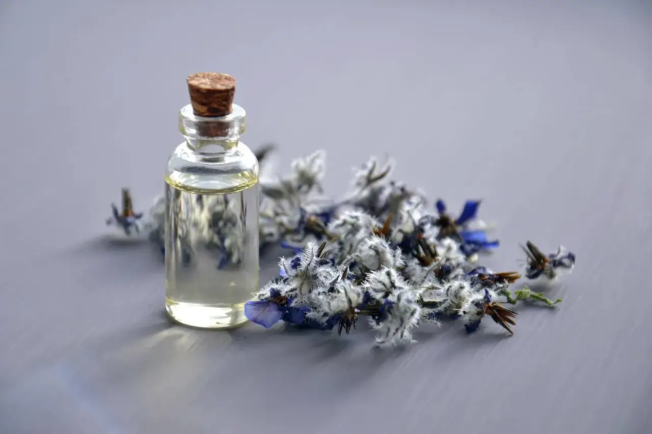 Flacon d'huile de bourrache à côté de fleurs séchées. L'huile de bourrache est parfois associée à la prise de poids.