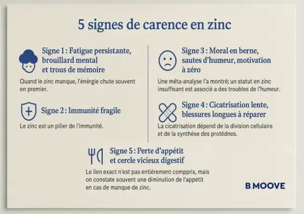 Cinq signes de carence en zinc : fatigue, immunité fragile, moral bas, cicatrisation lente, perte d'appétit. Le manque de zinc affecte l'énergie.