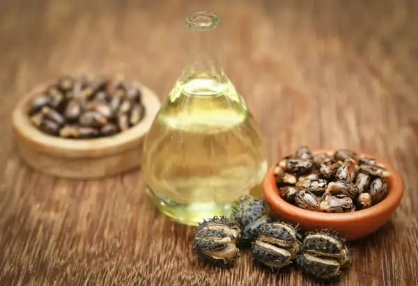Huile de ricin, extraite des graines, est présentée dans un flacon. Des graines et des capsules de ricin sont disposées autour.
