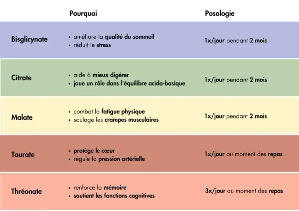 Tableau comparatif des formes de magnésium et de leurs bienfaits : bisglycinate pour le sommeil/stress, citrate pour la digestion, malate pour la fatigue/crampes, taurate pour le cœur/pression, thréonate pour la mémoire.