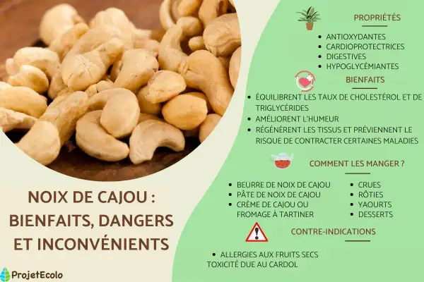 Gros plan sur des noix de cajou, avec des informations sur leurs bienfaits et le noix de cajou danger potentiel dû au cardol.