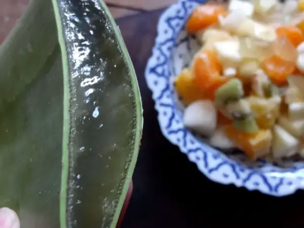 Gélifiant transparent extrait d'une feuille d'aloe vera comestible, prêt à être mélangé à une salade de fruits colorée.