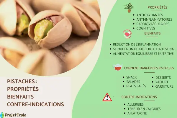 Gros plan sur des pistaches décortiquées, révélant leurs bienfaits pour la santé : antioxydantes, anti-inflammatoires et cognitives.