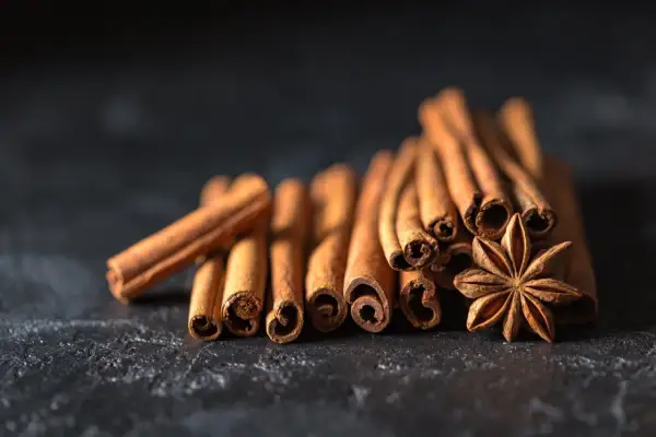 Bâtonnets de cannelle et anis étoilé sur fond sombre, évoquant des saveurs chaudes et réconfortantes, parfaites avec du miel.