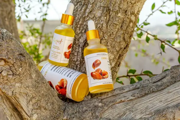 Trois flacons d'huile d'argan, aux multiples huile d'argan bienfaits, reposent sur une branche d'arbre.