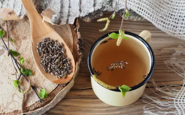 Graines de bouleau sur une cuillère en bois et dans une tasse de tisane. Un aliment qui tue les vers, utilisé en médecine traditionnelle.