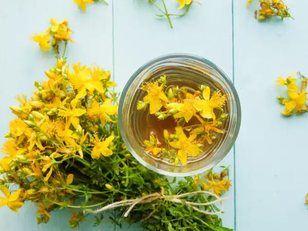 Infusion de millepertuis dans un verre, à côté d'un bouquet de fleurs. Une alternative naturelle à la pilule.