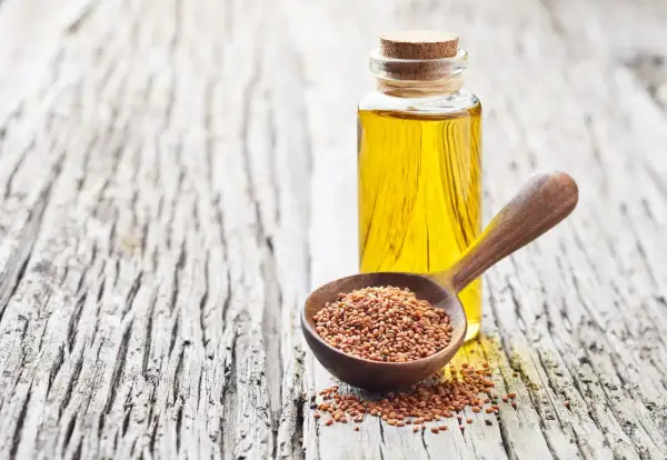 Huile de cameline dorée dans une bouteille, à côté d'une cuillère en bois remplie de graines de cameline. Un remède naturel pour le bien-être des intestins.
