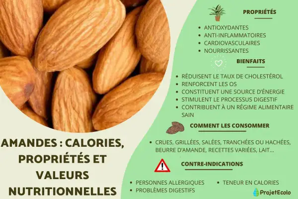 Gros plan sur des amandes, mettant en avant leurs nombreux bienfaits : antioxydantes, anti-inflammatoires, cardiovasculaires et nourrissantes.
