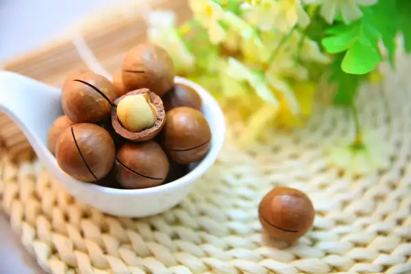 Cuillère de noix de macadamia, une ouverte révélant son intérieur crémeux. Découvrez les noix de macadamia bienfaits pour une alimentation saine.